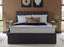 Dreamy Nest Upholstered Bed