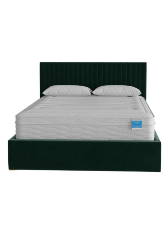 Plush Paradise Upholstered Bed